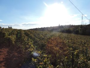 Localizados na Zona Rural, estamos em um ambiente propício ao bom desenvolvimento das crianças.